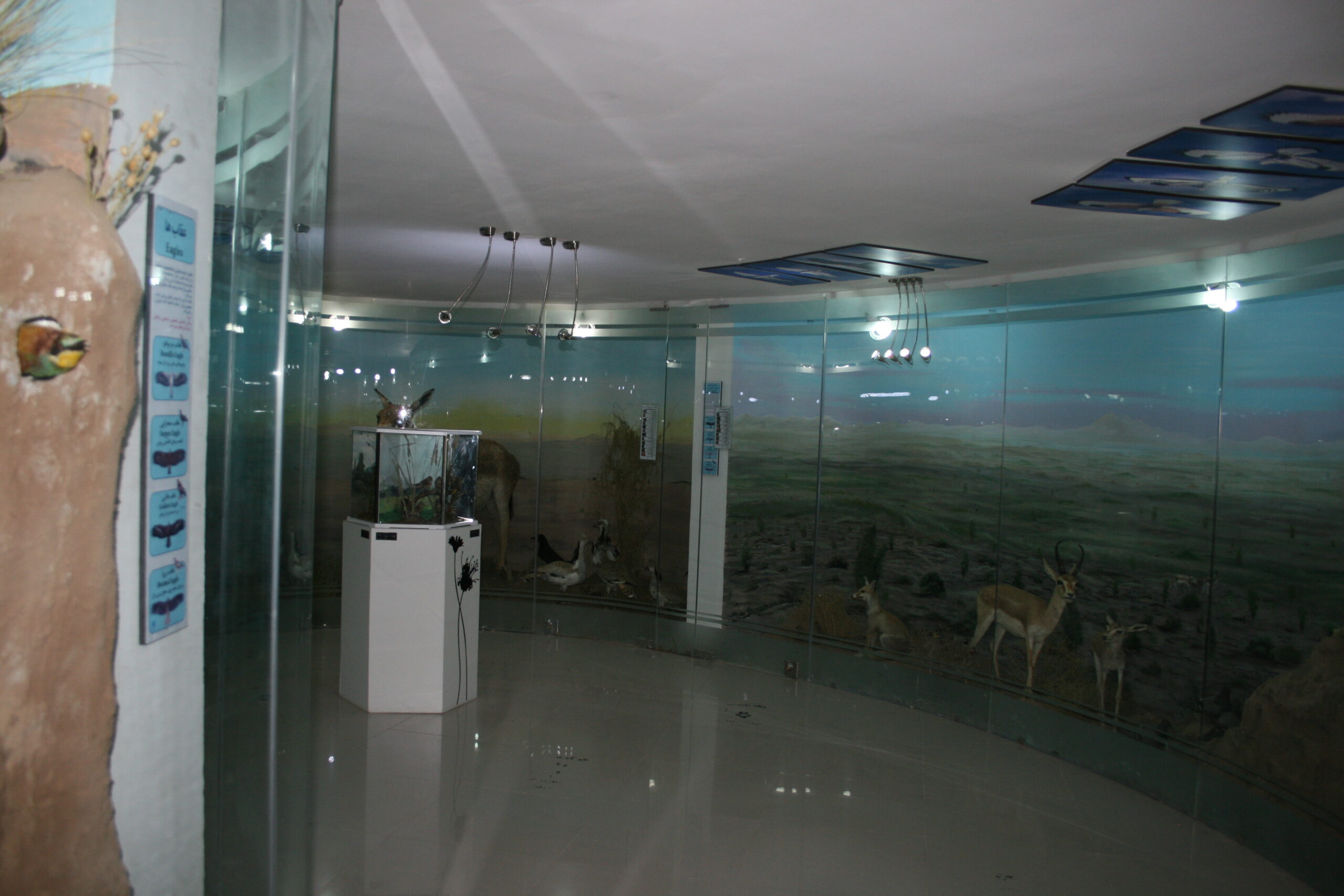 موزه تنوع زیستی