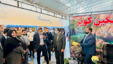 حضور فعال صنعتگران و هنرمندان شهرستان طبس در نمایشگاه سراسری خراسان جنوبی